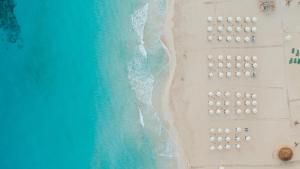 Cleopatra Sidi Heneish