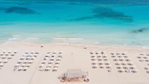 Cleopatra Sidi Heneish