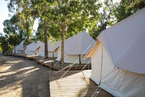 HolaCamp Albufeira