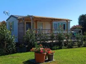 Le jardin de Domi - 文蒂塞里