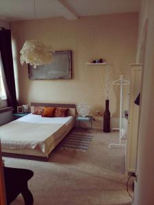 Appartements Appartement spacieux Douai : photos des chambres
