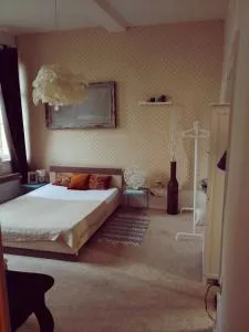 Appartement spacieux Douai - 杜埃