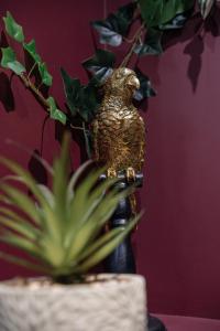 Appartements Secret Jungle - Love Room by PRIM0 C0NCIERGERIE : photos des chambres