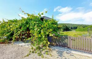 Maisons de vacances 3 Bedroom Nice Home In Reipertswiller : photos des chambres