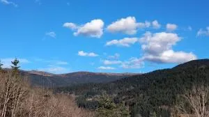 Maison Vintage - 沙勒马泽勒