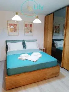 Lily Boutique Apartment - Mrzenci