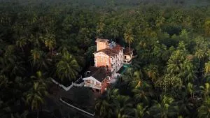 TreeHouse Nova - Ponda