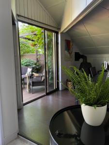 Summer chalet in the heart of Riga