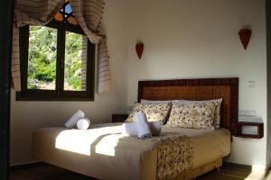 Haven Hills Social Club