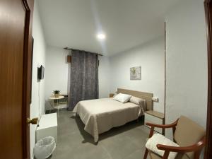 Double Room room in Hotel Muñoz