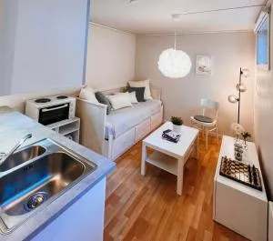 Fin og lys studioleilighet med gratis parkering - 米德桑坦