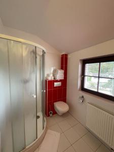 Double or Twin Room room in Svachovka