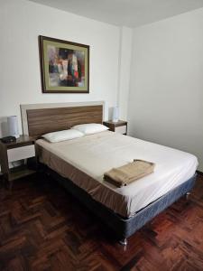 Departamento San Borja