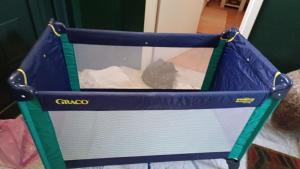 da Francesco img8