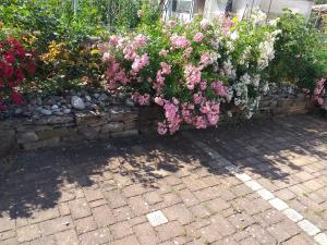 Appartements CHEZ LE VIGNERON : photos des chambres