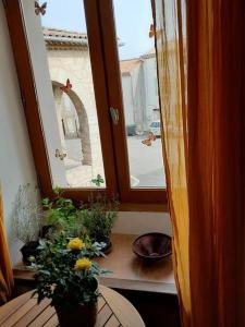 Appartements La Petite Tour de Puivert : photos des chambres