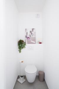 Appartements Appartement neuf cosy en ville 4 pers : photos des chambres