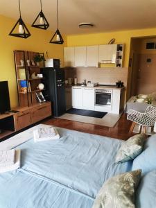 Green Apple Apartment