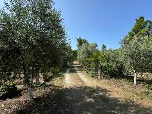 Vlora Three Houses - Skrofotinë