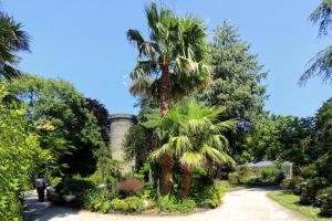 Appartements Le Goeland - Second Souffle - Cherbourg : photos des chambres