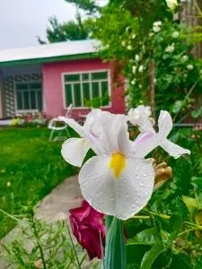 KD guest house - Drosh