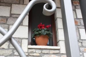 Grand Village boutique inn