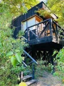 Lodge Punahue - Нельтуме