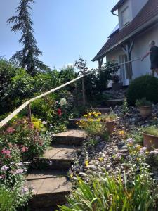 Appartements GITE DANS VIGNOBLE ALSACIEN : photos des chambres