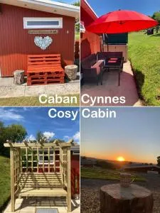 Caban Cynnes- The Cosy Cabin, Holiday let, near Mansion House, Llansteffan - Llangain