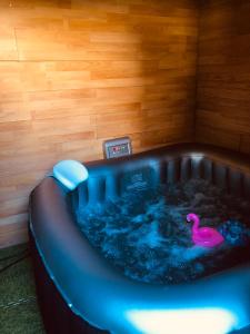 Appartements Grand T2 climatise avec jardin et spa : photos des chambres
