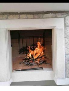 Apartments Ćošković