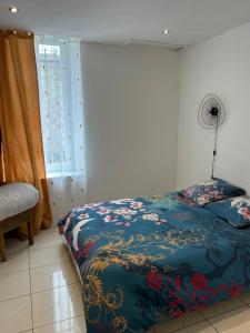 Appartements Grand T2 climatise avec jardin et spa : photos des chambres