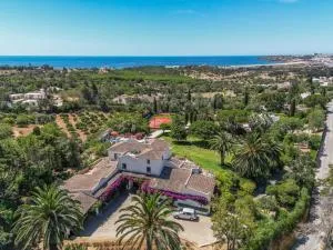 Casa das Flores - Pinheiral