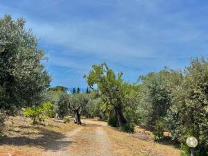 Peaceful Retreat - Bagni Domizia