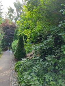 Appartementhaus Rosengarten - A4