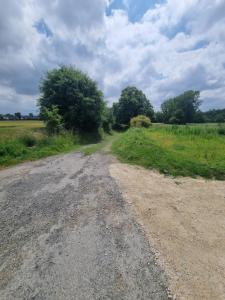 Maisons de vacances gite de la Rance : photos des chambres