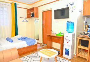 Nellius studios Naivasha CBD