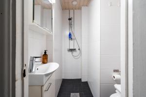 Loft studio, Kallio, Metro Nearb