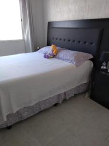 Casa con dos habitaciones disponibles