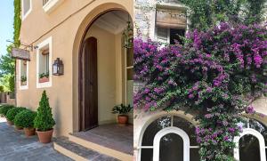 LHort de Sant Cebrià