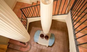 LHort de Sant Cebrià