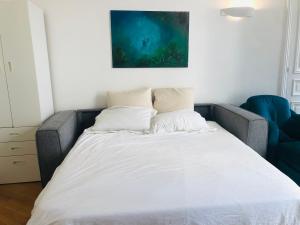 Comfortable and Luxury Appart-Center of Paris