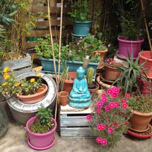 Villas la cour des miracles : photos des chambres