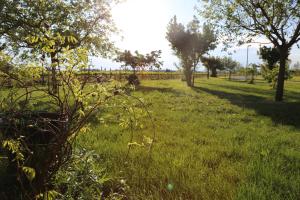 Valle di Assisi Country Apartments