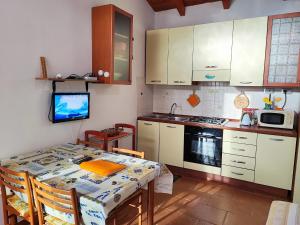 Il Fenicottero img71