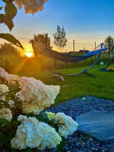 Domki Wczasowe Nidia