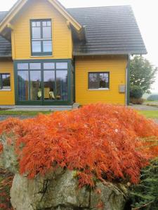 Das gelbe Landhaus