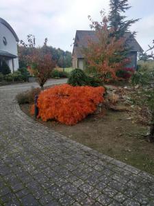 Das gelbe Landhaus