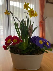 Ferienwohnung 1 Am Petersberg