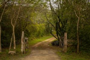 El Prado- Casa Maya y Casa Rancho-10 personas